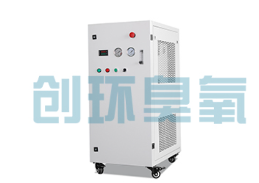 临城石斑鱼养殖水质调控完整指南:臭氧发生器配置与操作步骤