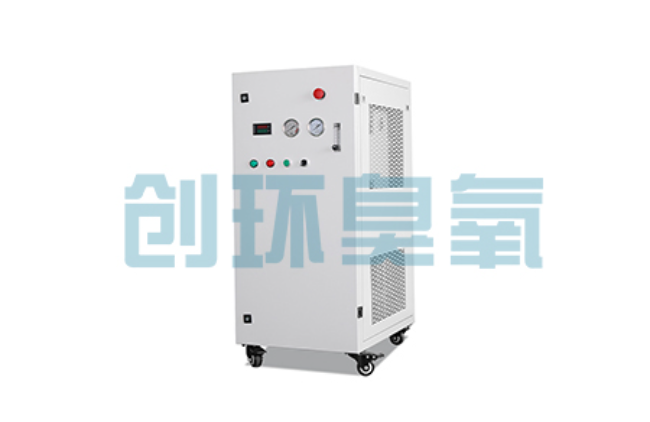临城比传统换水更高效?臭氧发生器在石斑鱼养殖中的水质净化原理解析