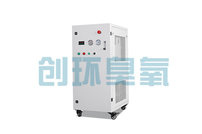 临城比传统换水更高效?臭氧发生器在石斑鱼养殖中的水质净化原理解析